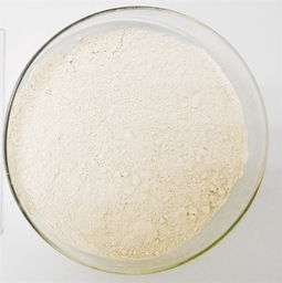 江門新聞 江門新聞網.江門綜合門戶網站