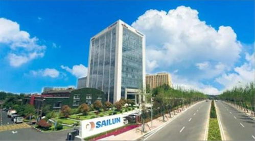 賽輪集團有多牛