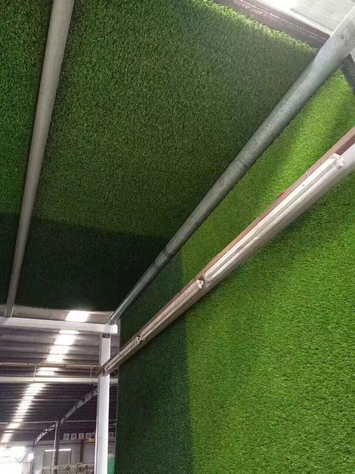 假綠草皮什么價(jià)格