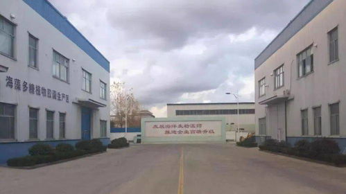 頭版頭條 新區(qū)獲贊 媒體看新區(qū)